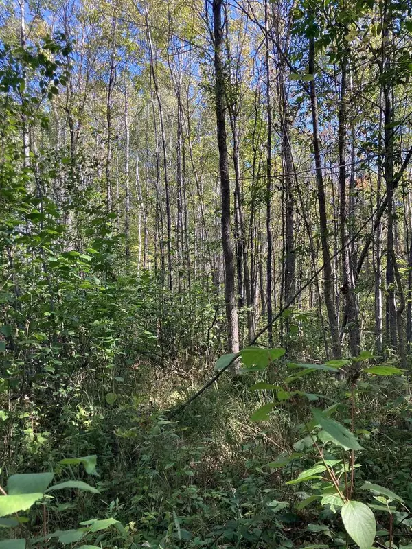 Saxon, WI 54546,00002 Pine Flats Rd