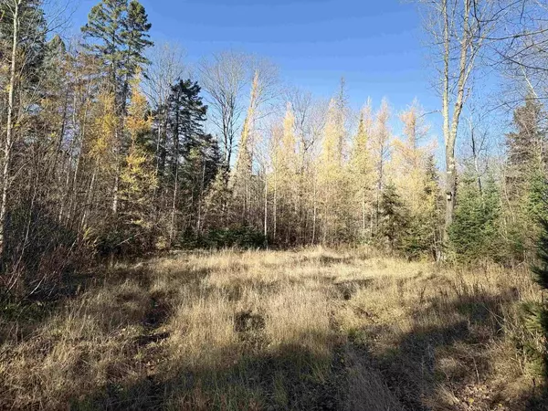 Winter, WI 54896,6027 N County Hwy M