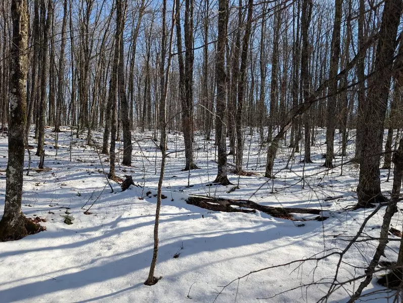 Red House Rd, Mellen, WI 54546