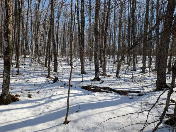 Red House Rd, Mellen, WI 54546