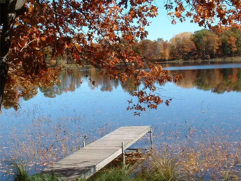 Lot 19 Honker Hollow, Danbury, WI 54830