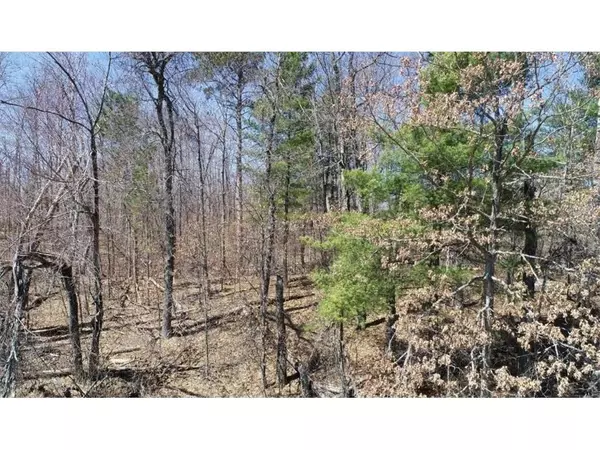 Danbury, WI 54830,LOT 18 Duescher Dr
