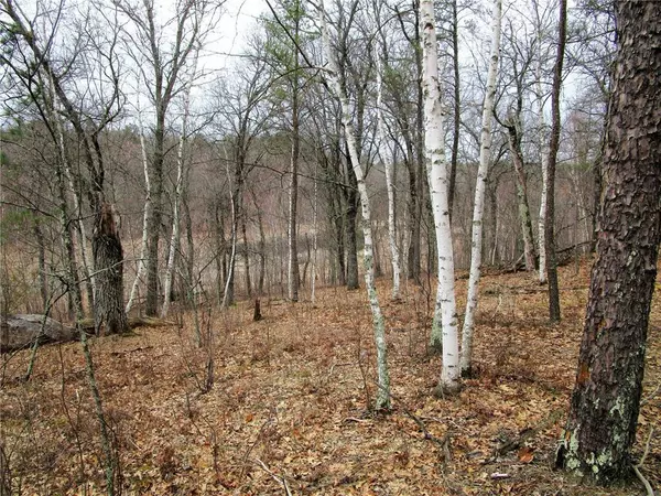 Danbury, WI 54830,Lot 296 Deerpath Rd