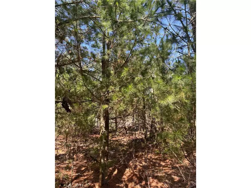 xxxx Overland Trailway, Webster, WI 54893