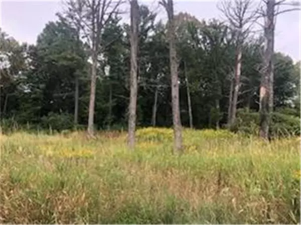 Lot 40 Sunflower Way, Amery, WI 54001