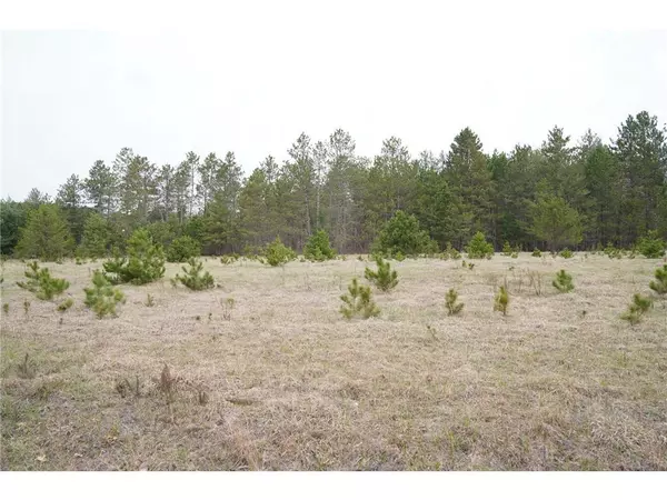 Webster, WI 54893,0 County D Road