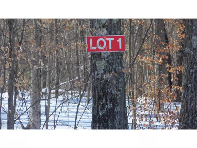 Lot 1 Warner Lake Rd, Webster, WI 54893
