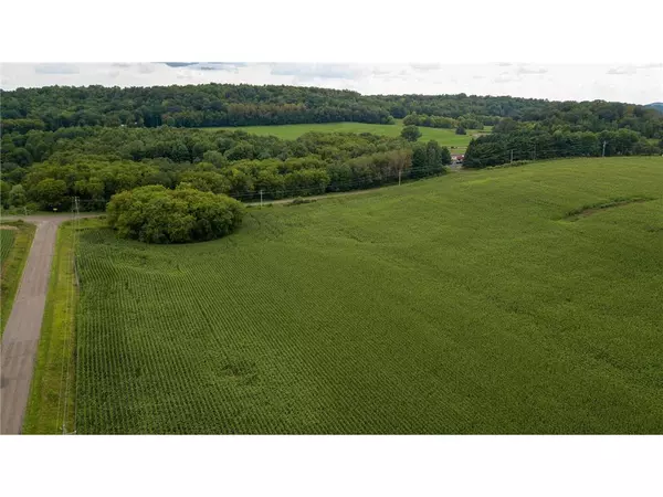 65.25 Acres 550th Street, Menomonie, WI 54751