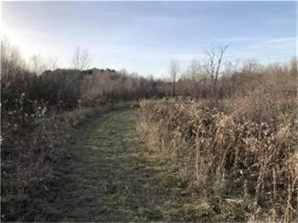 Spring Valley, WI 54767,Lot 8 283rd Street