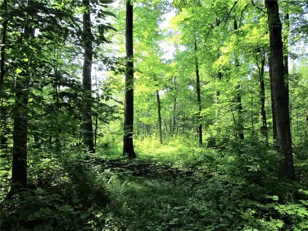 Milltown, WI 54858,XX 220th Avenue