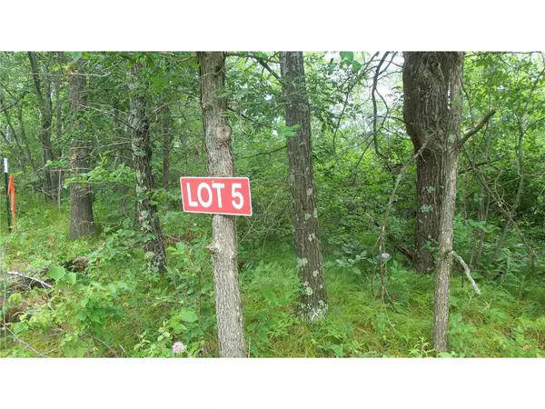 Trego, WI 54888,LOT 5 DEERFIELD RD