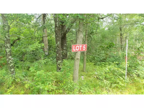 Trego, WI 54888,LOT 5 DEERFIELD RD