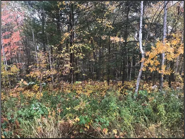 Lot 113 162nd Avenue, Balsam Lake, WI 54810