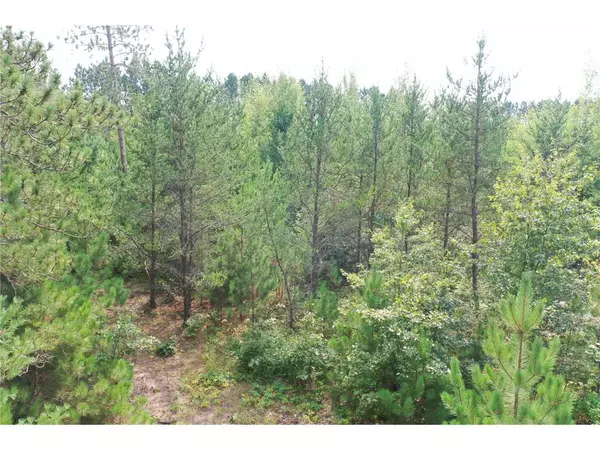 Webster, WI 54893,6752 Pike Bend Road