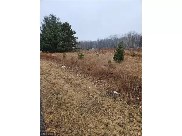 xxx Little Falls Circle, Amery, WI 54001