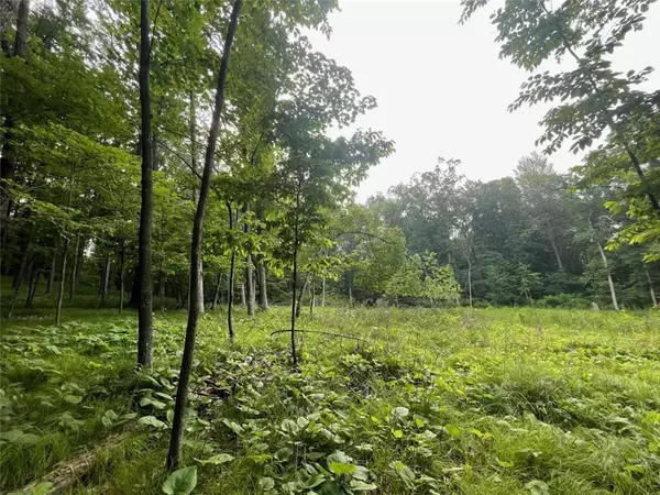 Boyceville, WI 54725,Lot's 4,5 & 6 Anderson Hill Lane