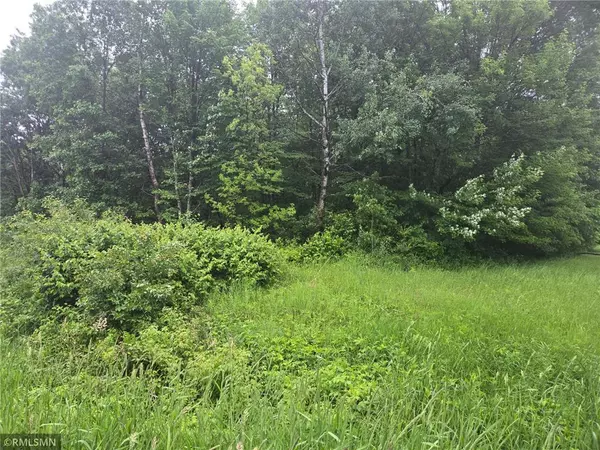 Webster, WI 54893,xxx E Oak Street