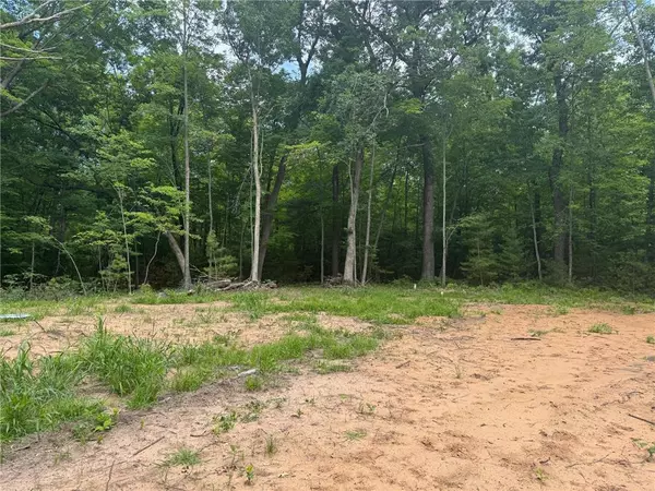 Webster, WI 54893,tbd Marias way