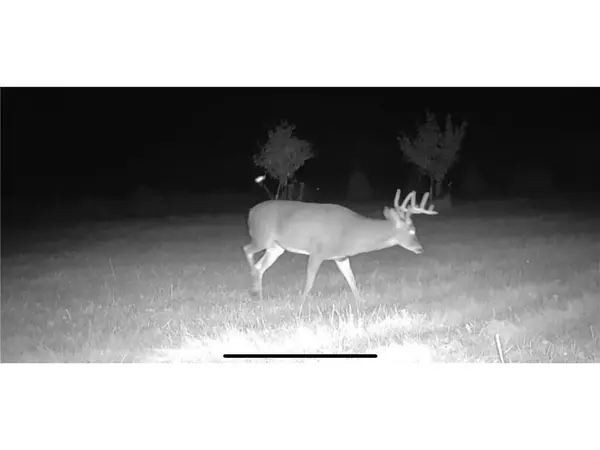 Holcombe, WI 54745,TBD County Road W