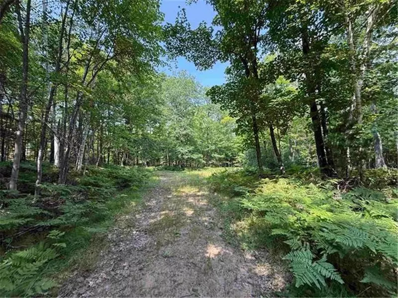 xxx County Highway A, Iron River, WI 54847