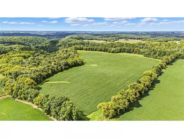 TBD 310th Street Street, Maiden Rock, WI 54750