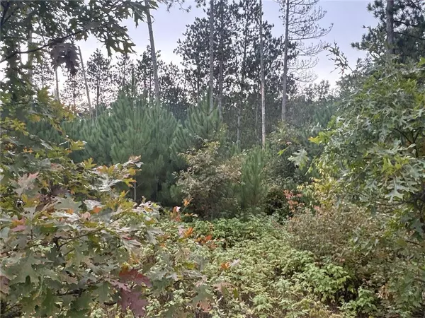 Danbury, WI 54830,TBD Hayden Lake Road