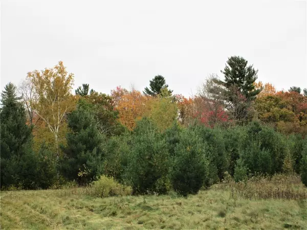 Frederic, WI 54837,Parcel 2 90th Street