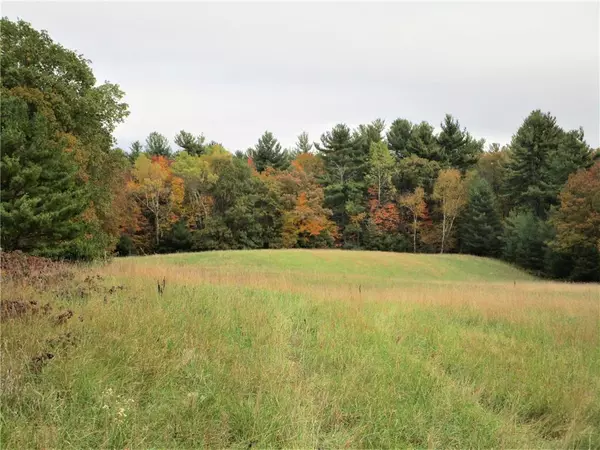 Parcel 6 340th Avenue,  Frederic,  WI 54837