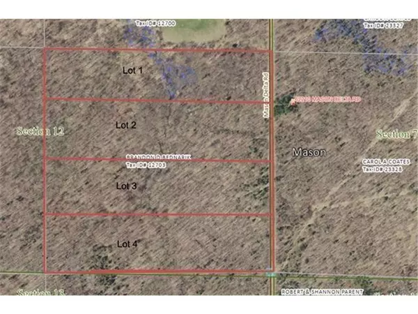 Lot 1 Mason Delta Rd, Delta, WI 54856