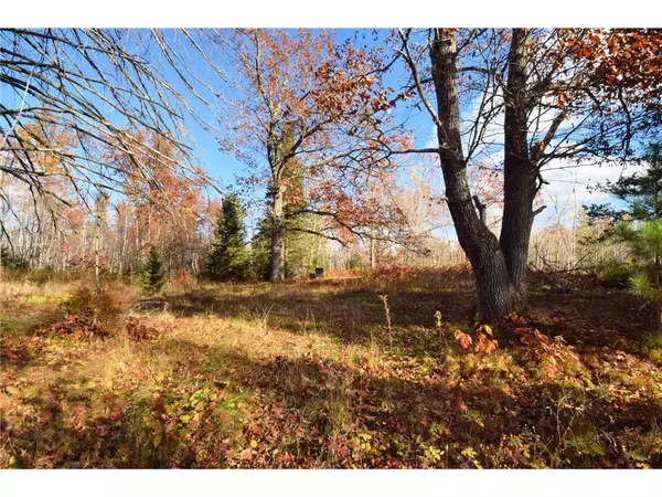 Danbury, WI 54830,34160 McGraw Lake Road