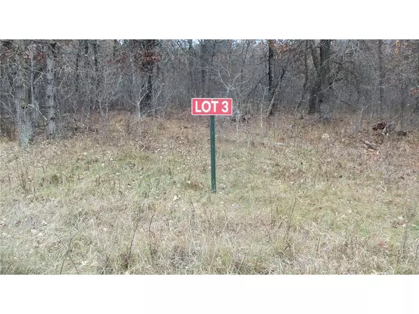 Saint Croix Falls, WI 54024,Lot 3 300th St