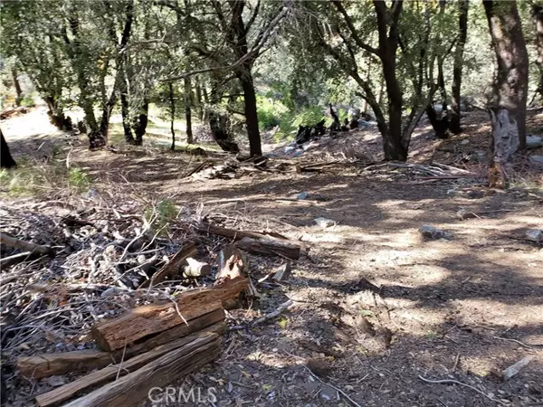 1 Burnt Mill Canyon, Cedarpines Park, CA 92322