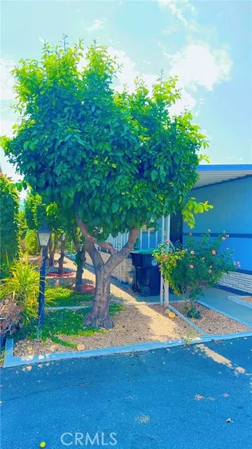 Hemet, CA 92544,880 N Lake St #99