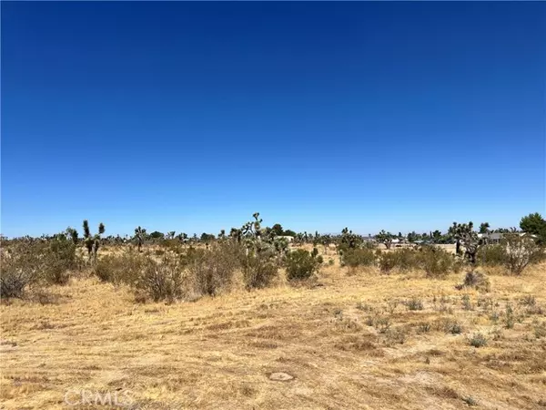 0 Sacramento CT, Pinon Hills, CA 92372