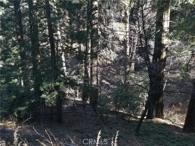 Cedarpines Park, CA 92322,0 Burnt Mill Canyon Rd