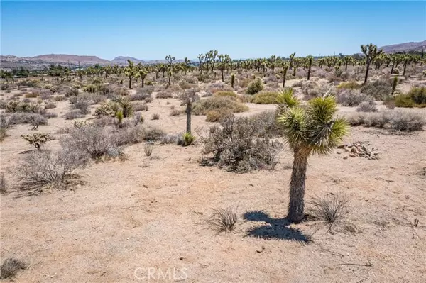 Yucca Valley, CA 92284,58280 Twentynine Palms Hwy