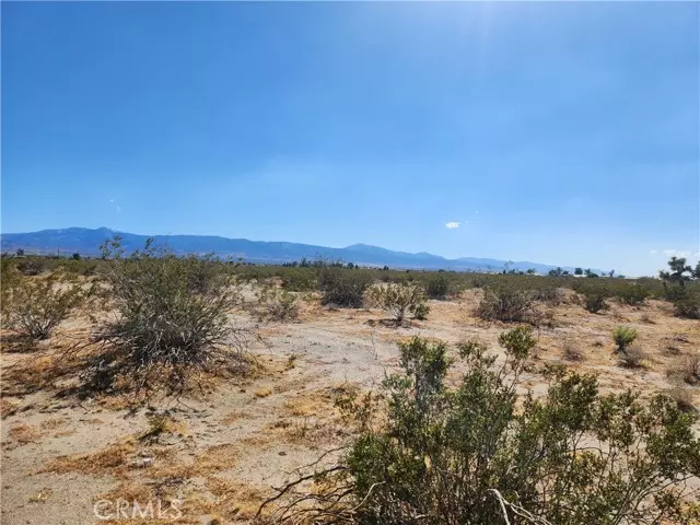 Phelan, CA 92371,1 Monta Vista RD