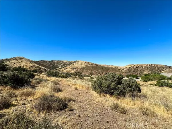 0 Big Springs RD, Agua Dulce, CA 91350