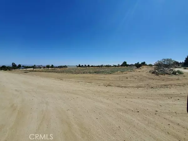 0 Buena Vista Rd, Pinon Hills, CA 92372