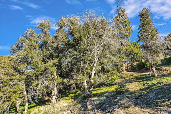 0 Near Mojave River RD, Cedarpines Park, CA 92322