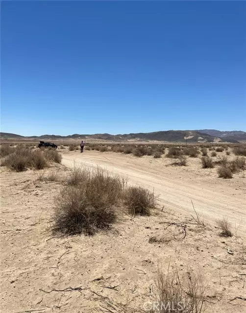 Joshua Tree, CA 92252,0 Reagan RD