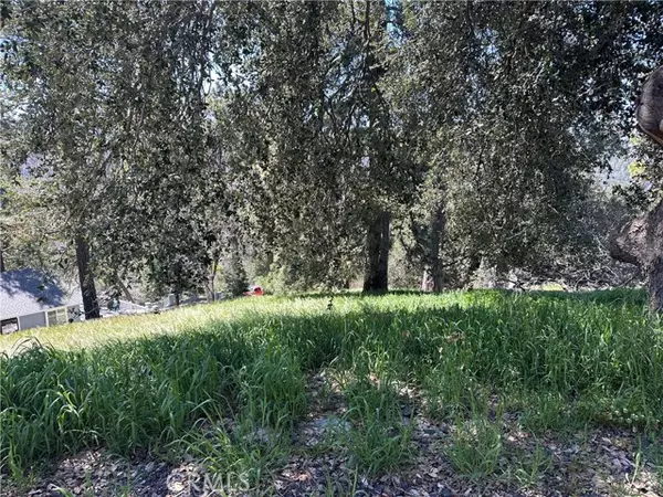 Cedarpines Park, CA 92322,0 Elliot RD