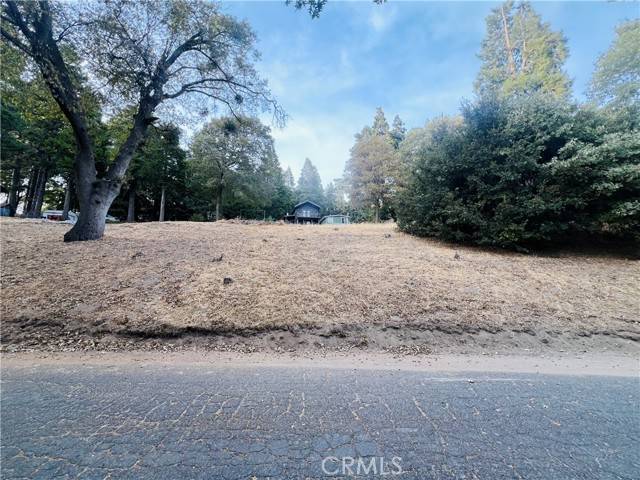 0 Mojave River RD, Cedarpines Park, CA 92322