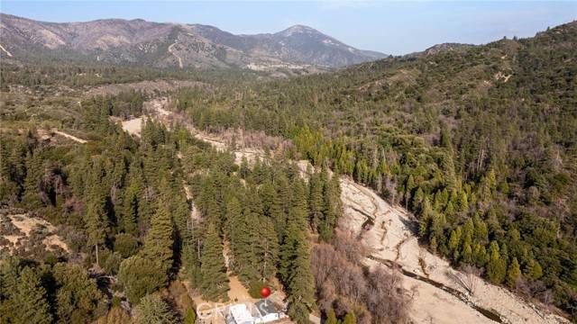 39950 Seven Oaks RD #41, Angelus Oaks, CA 92305