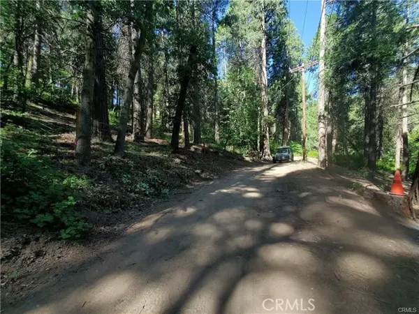 Cedarpines Park, CA 92322,47 El Valle