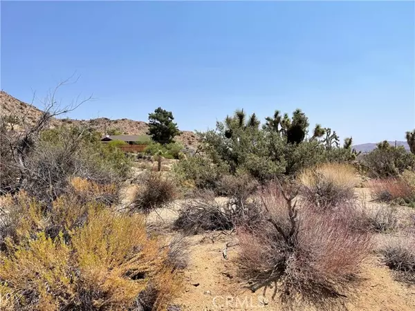 Yucca Valley, CA 92284,55750 Desert Gold DR