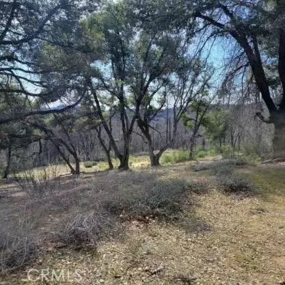 Berry Creek, CA 95916,0 Possum LN