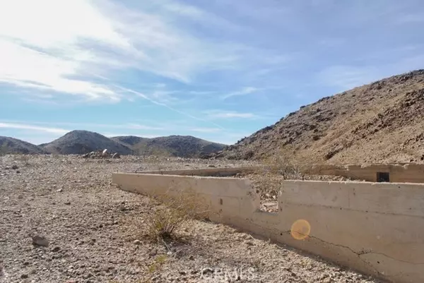 29 Palms, CA 92277,0 Doberman