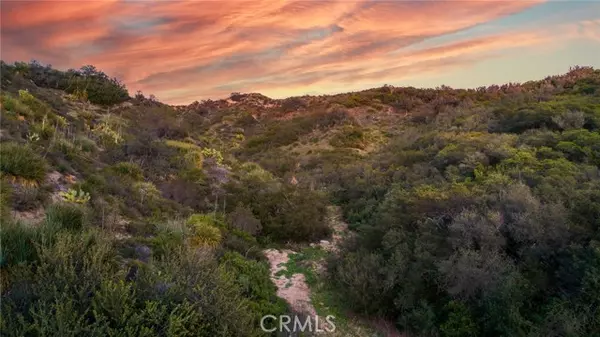 Trabuco Canyon, CA 92679,20062 Summit Trail RD