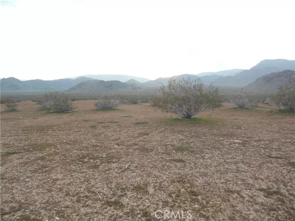 Lucerne Valley, CA 92356,1223 Lorraine@Larjoe